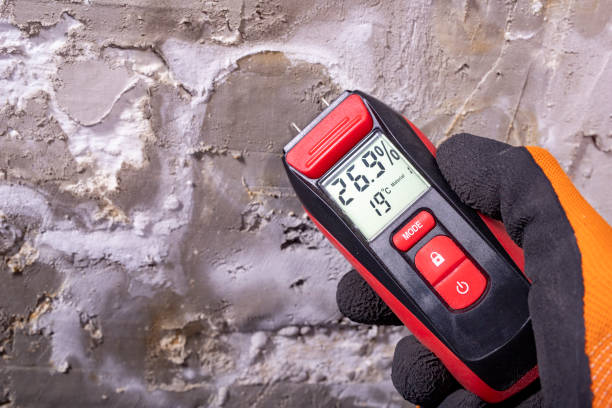 Best Mold Testing  in Damascus, MD