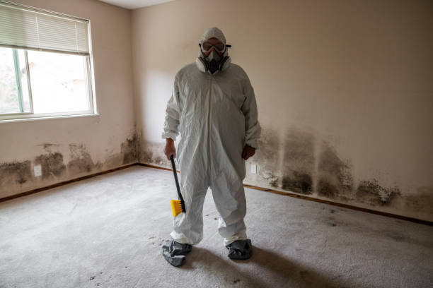Best Mold Remediation  in Damascus, MD